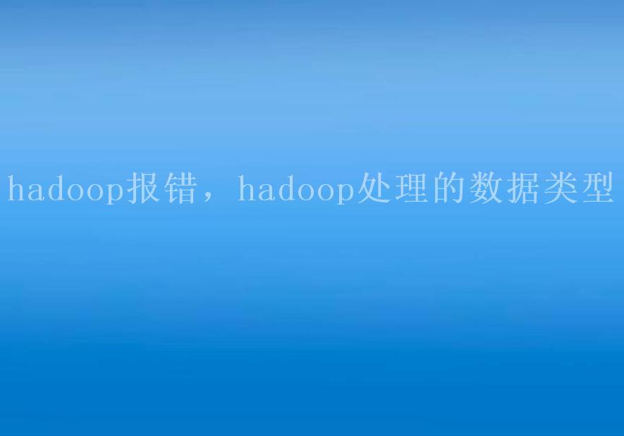 hadoop报错，hadoop处理的数据类型1