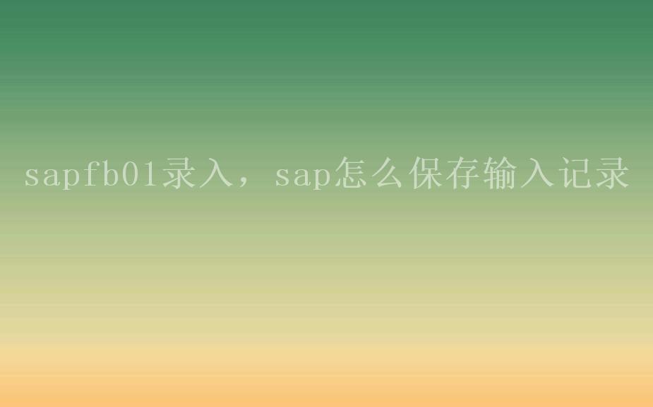 sapfb01录入，sap怎么保存输入记录2