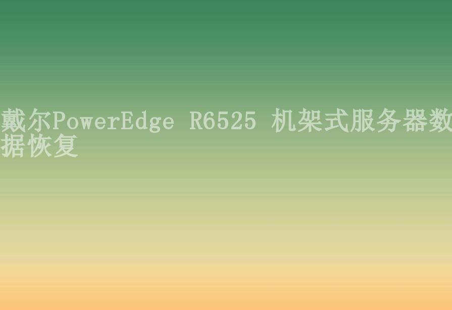 戴尔PowerEdge R6525 机架式服务器数据恢复2
