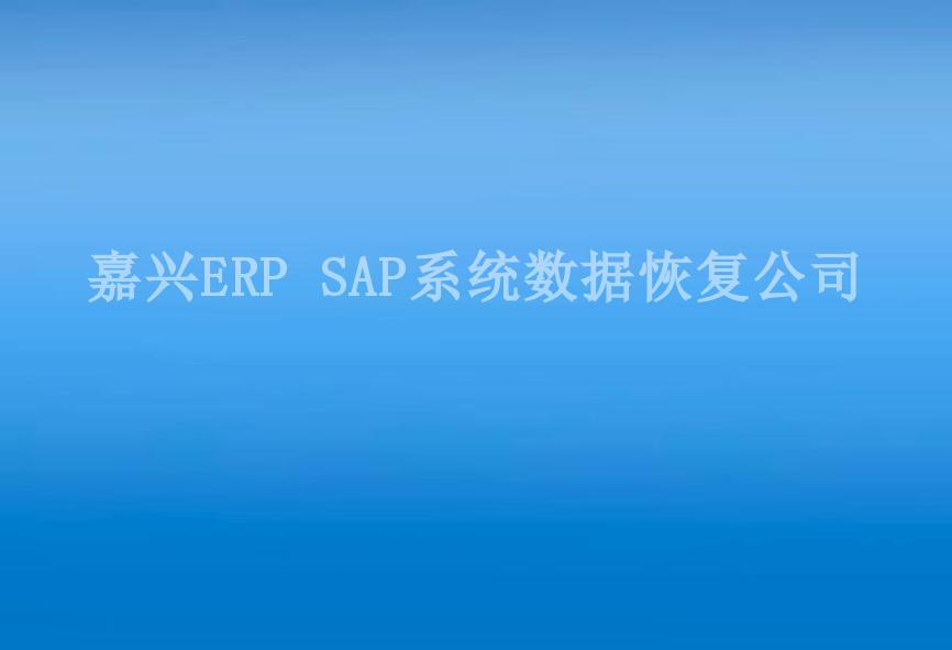 嘉兴ERP SAP系统数据恢复公司1