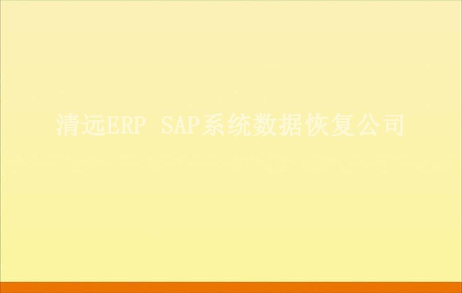清远ERP SAP系统数据恢复公司1