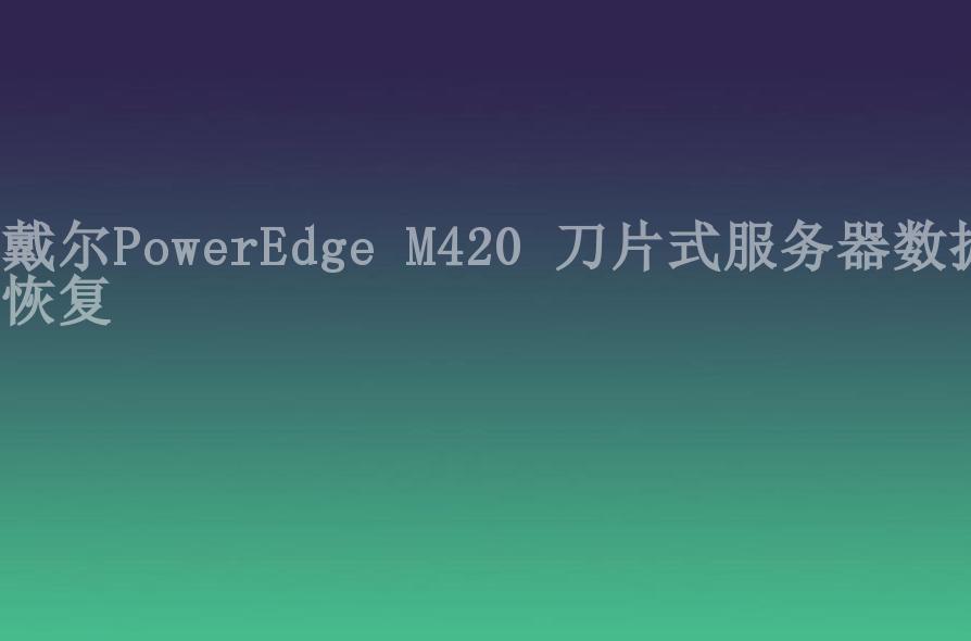 戴尔PowerEdge M420 刀片式服务器数据恢复1