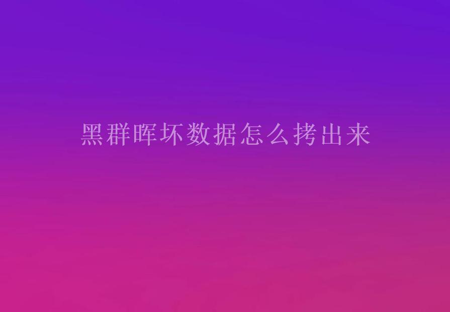 黑群晖坏数据怎么拷出来2