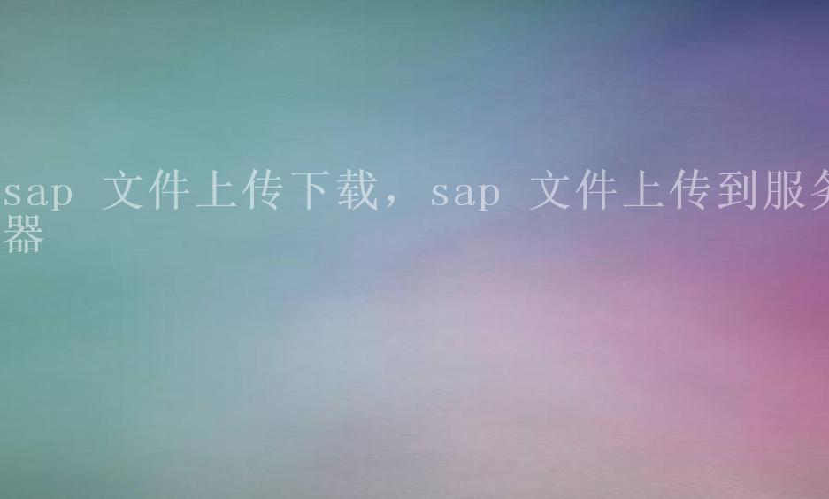 sap 文件上传下载，sap 文件上传到服务器2