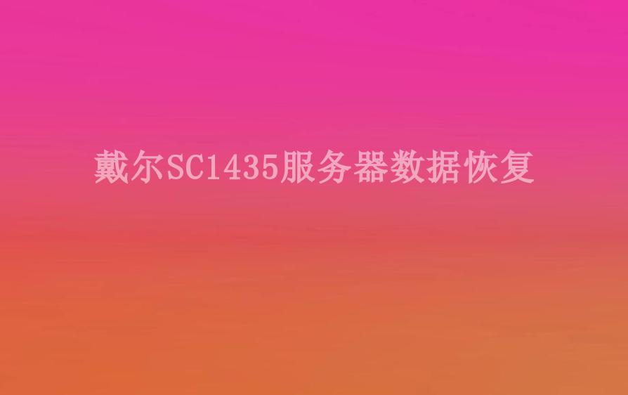 戴尔SC1435服务器数据恢复1