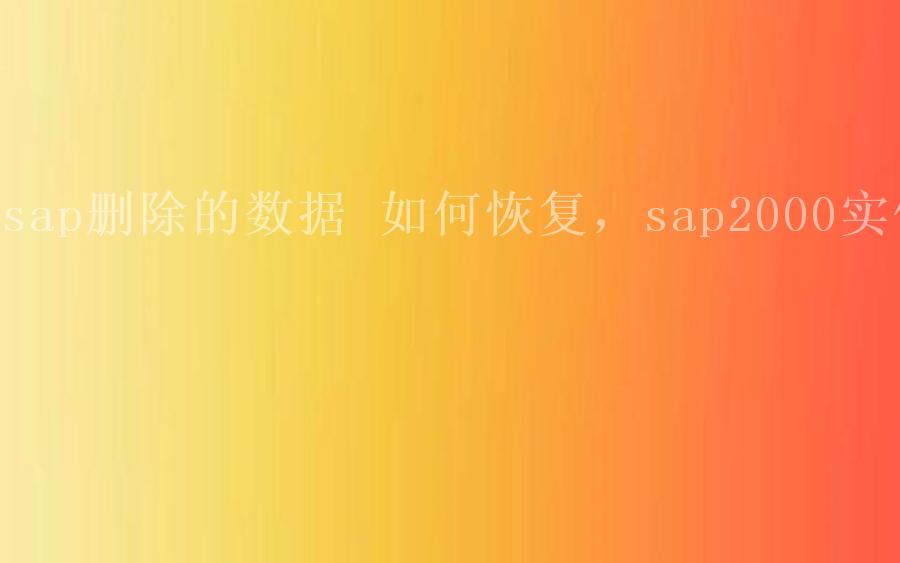 sap删除的数据 如何恢复，sap2000实例2