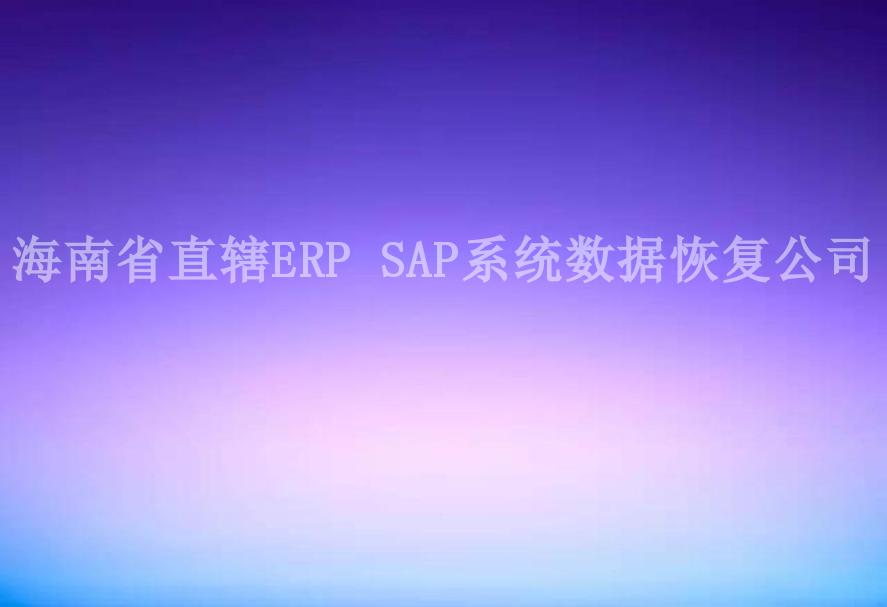 海南省直辖ERP SAP系统数据恢复公司2