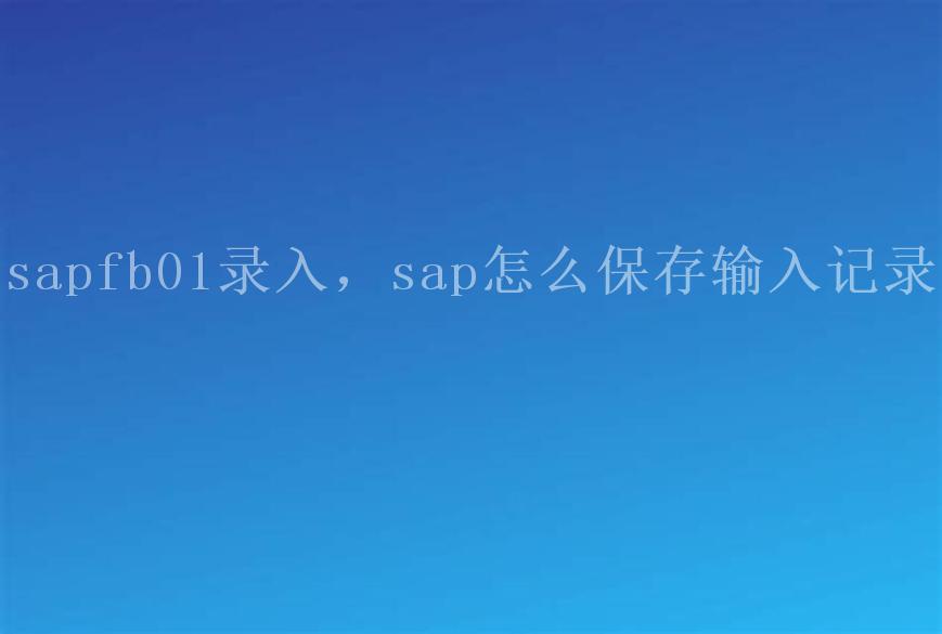 sapfb01录入，sap怎么保存输入记录1