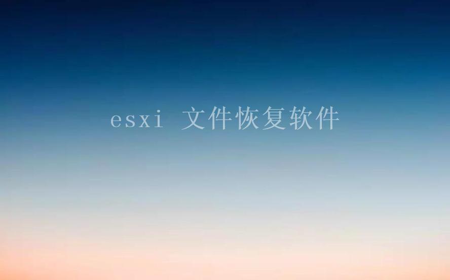 esxi 文件恢复软件2