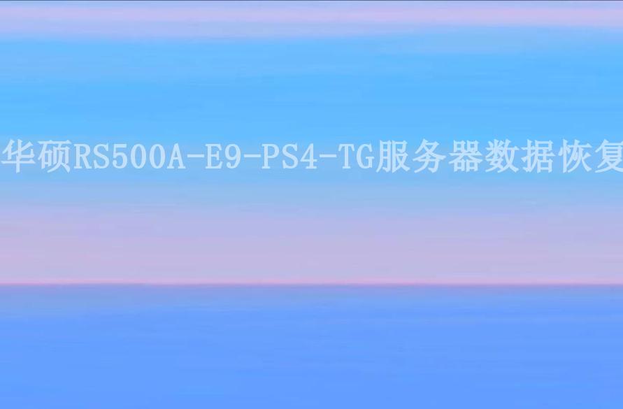 华硕RS500A-E9-PS4-TG服务器数据恢复1