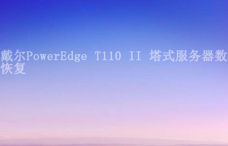 戴尔PowerEdge T110 II 塔式服务器数据恢复2