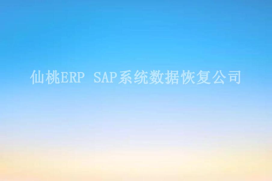 仙桃ERP SAP系统数据恢复公司1