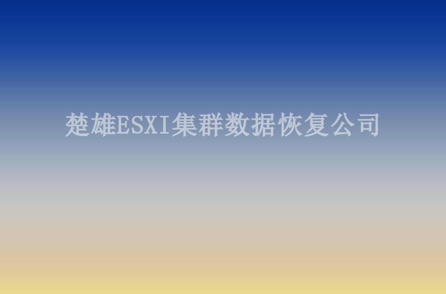 楚雄ESXI集群数据恢复公司1