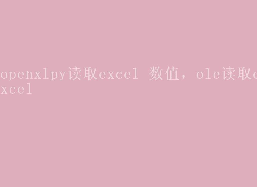 openxlpy读取excel 数值，ole读取excel1