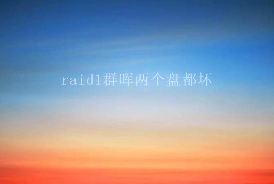 raid1群晖两个盘都坏2