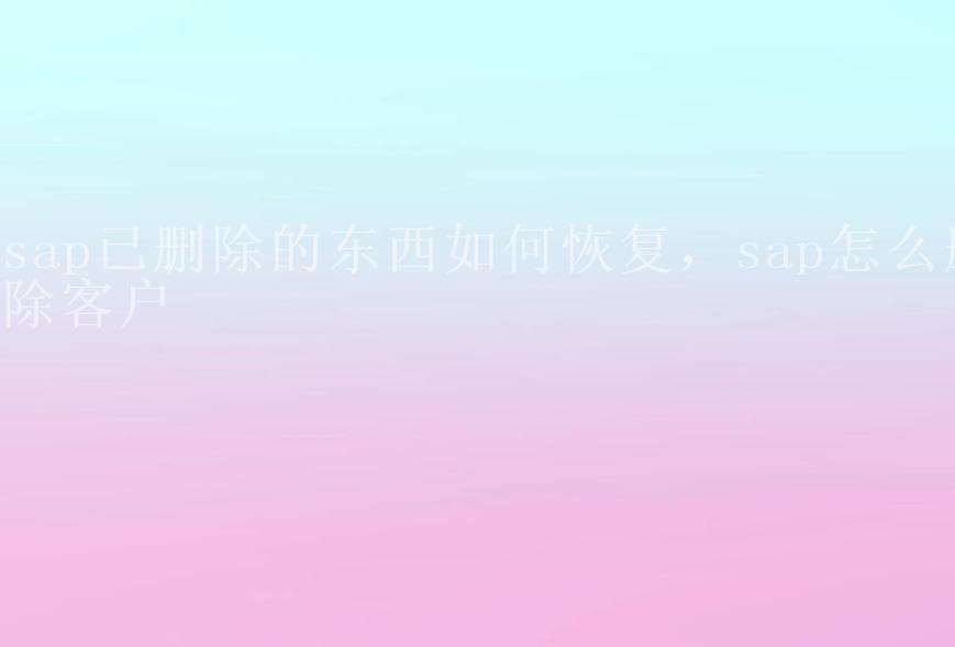 sap已删除的东西如何恢复，sap怎么删除客户1