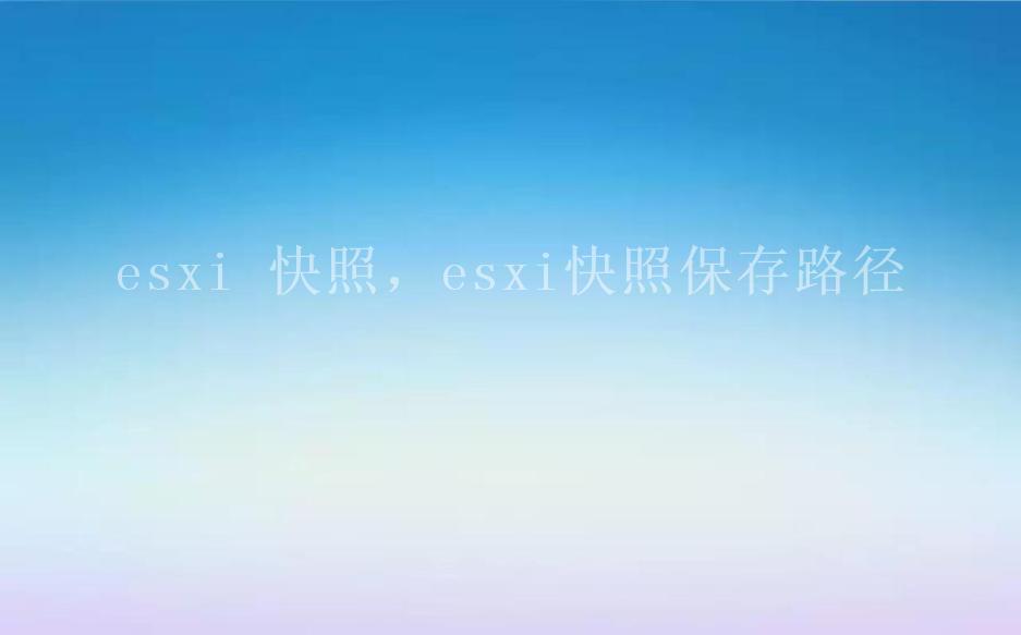 esxi 快照，esxi快照保存路径1