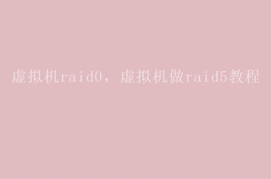 虚拟机raid0，虚拟机做raid5教程1