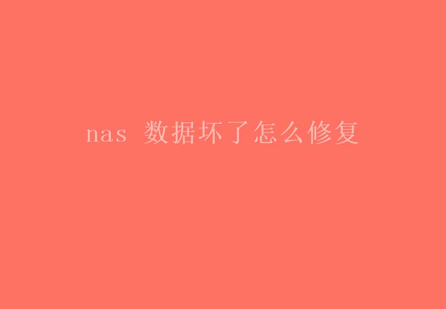 nas 数据坏了怎么修复1