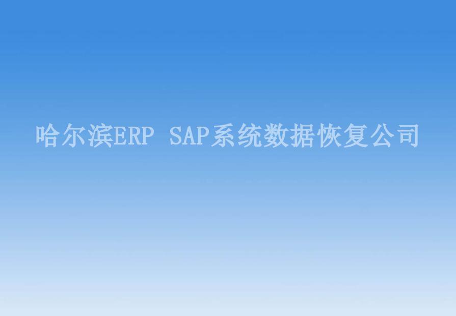 哈尔滨ERP SAP系统数据恢复公司2