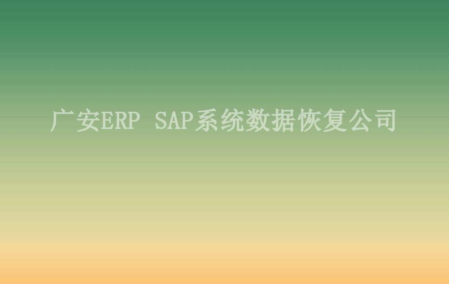 广安ERP SAP系统数据恢复公司2