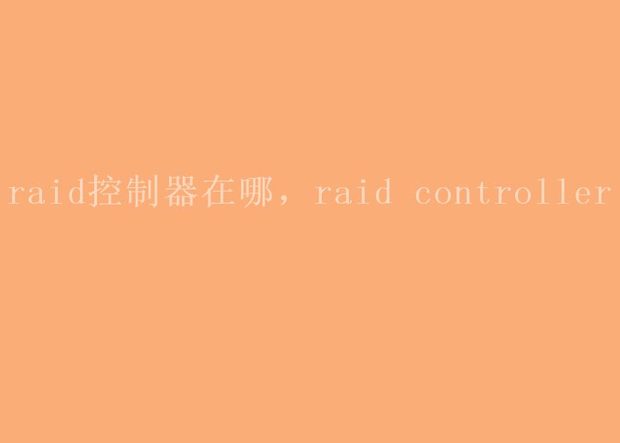 raid控制器在哪，raid controller2