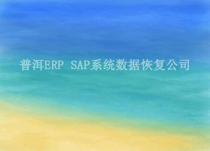 普洱ERP SAP系统数据恢复公司1