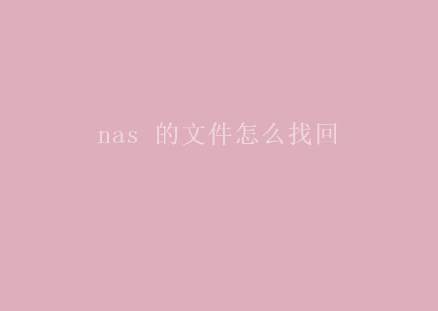 nas 的文件怎么找回1