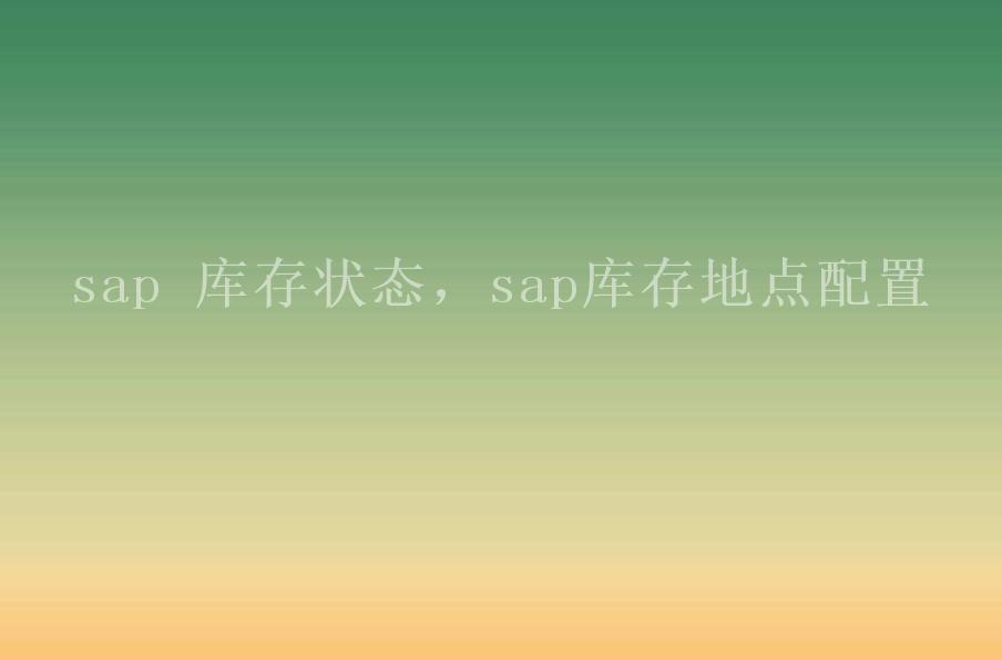 sap 库存状态，sap库存地点配置2