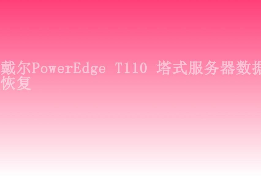 戴尔PowerEdge T110 塔式服务器数据恢复2