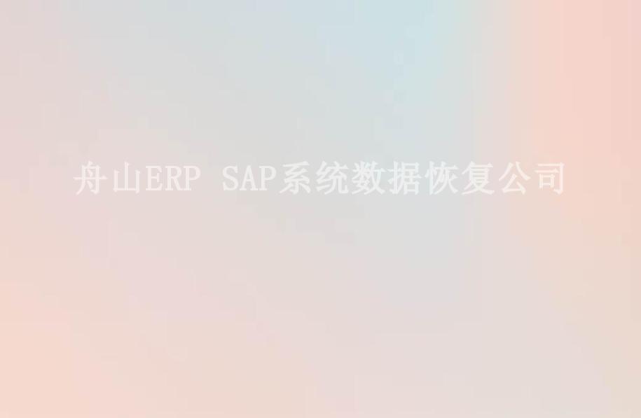 舟山ERP SAP系统数据恢复公司2