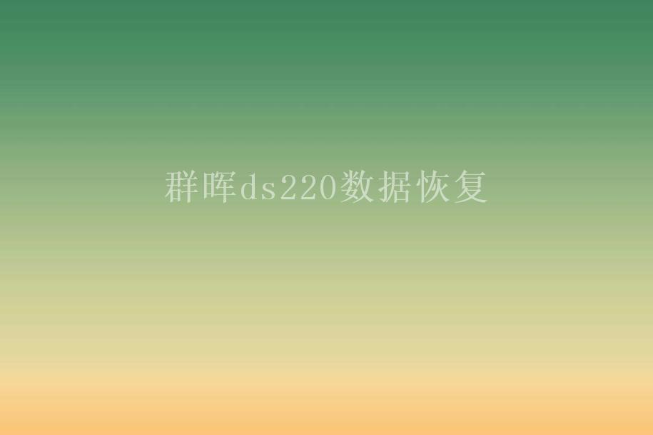 群晖ds220数据恢复2