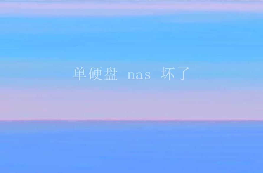 单硬盘 nas 坏了2