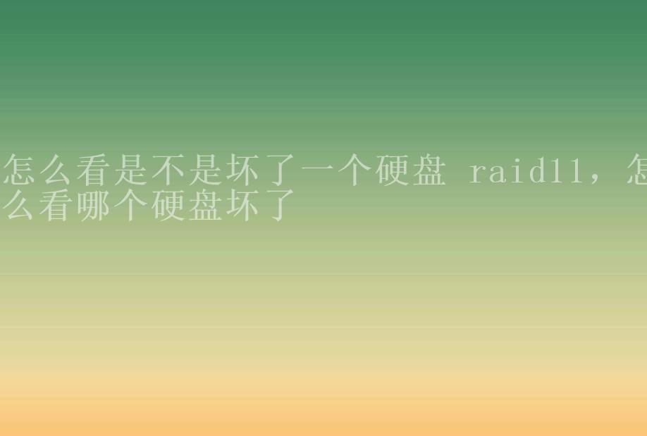 怎么看是不是坏了一个硬盘 raid11，怎么看哪个硬盘坏了1