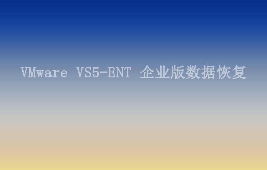 VMware VS5-ENT 企业版数据恢复1