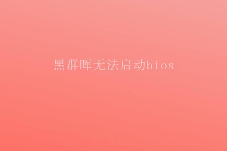 黑群晖无法启动bios1