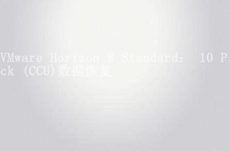 VMware Horizon 8 Standard： 10 Pack (CCU)数据恢复2