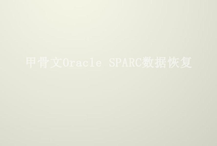 甲骨文Oracle SPARC数据恢复2