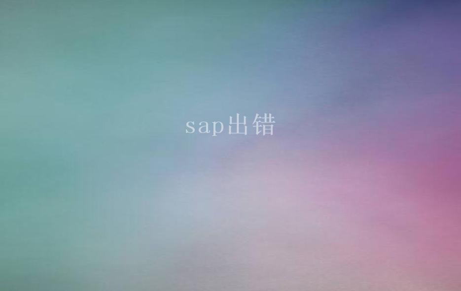 sap出错2