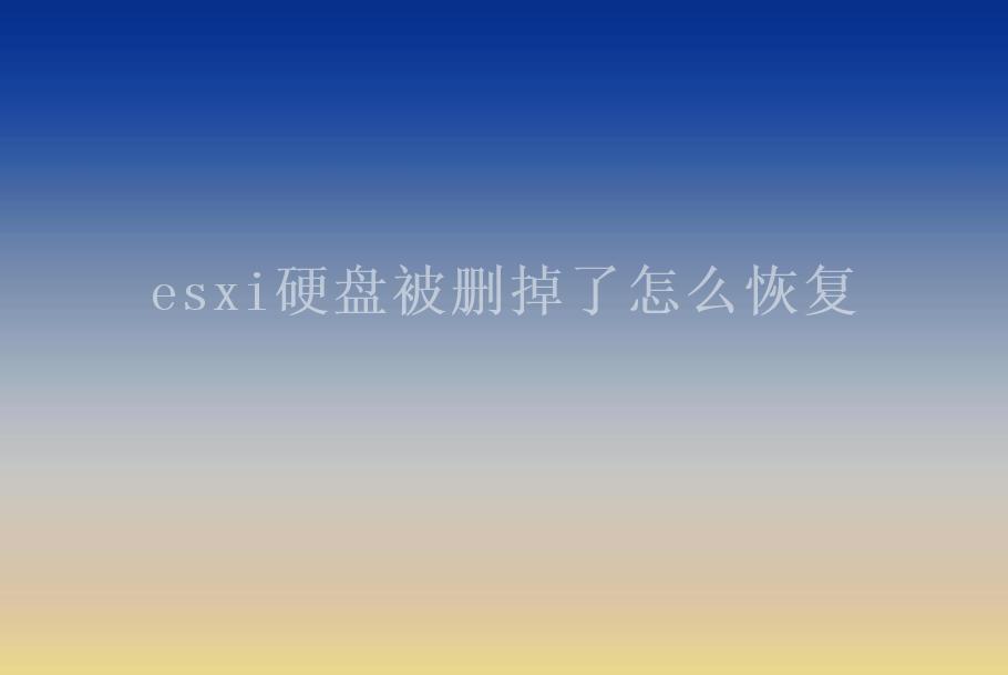 esxi硬盘被删掉了怎么恢复1