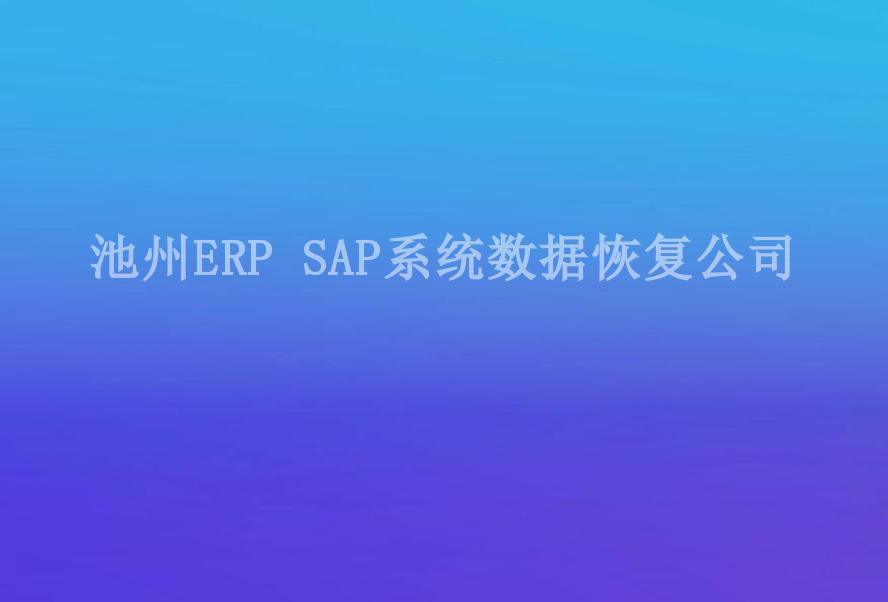 池州ERP SAP系统数据恢复公司2