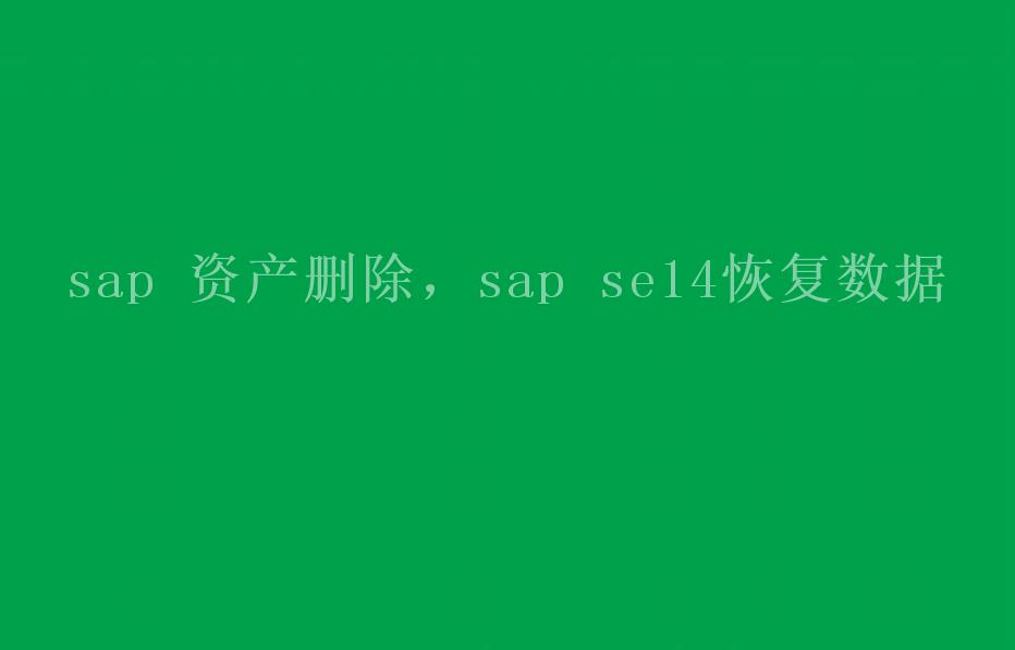 sap 资产删除，sap se14恢复数据1