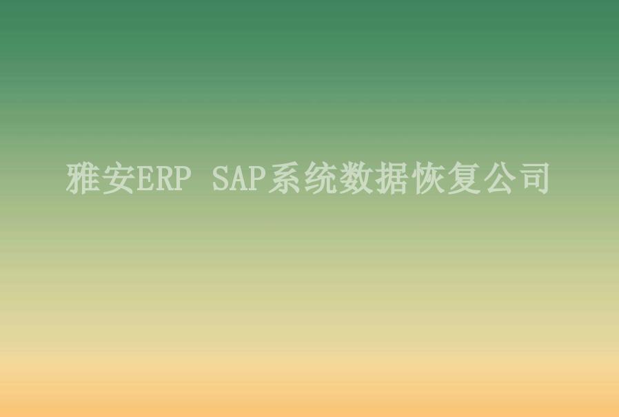 雅安ERP SAP系统数据恢复公司1