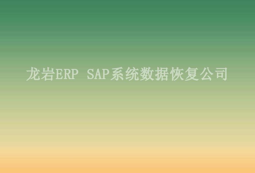 龙岩ERP SAP系统数据恢复公司2