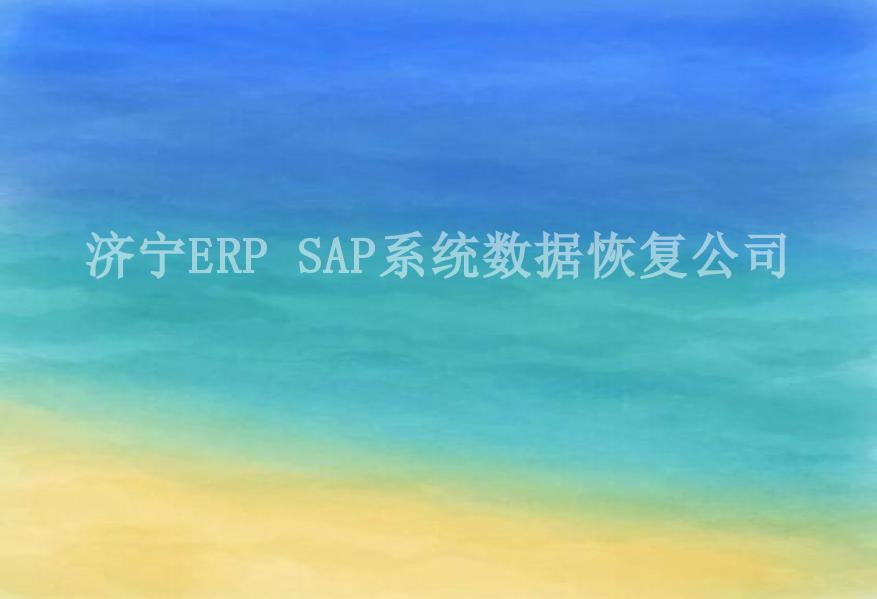 济宁ERP SAP系统数据恢复公司1