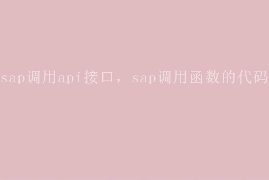 sap调用api接口，sap调用函数的代码2