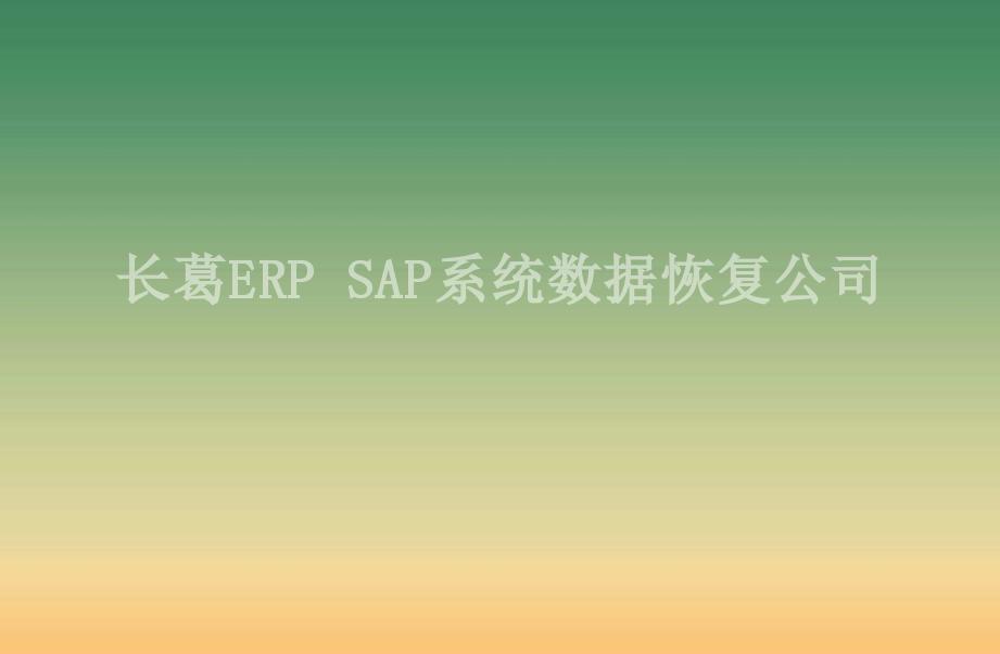 长葛ERP SAP系统数据恢复公司2