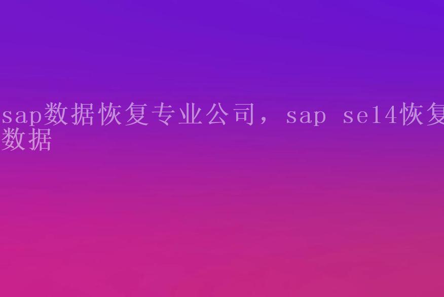 sap数据恢复专业公司，sap se14恢复数据2