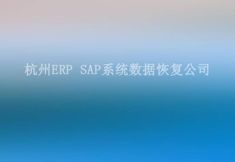 杭州ERP SAP系统数据恢复公司2