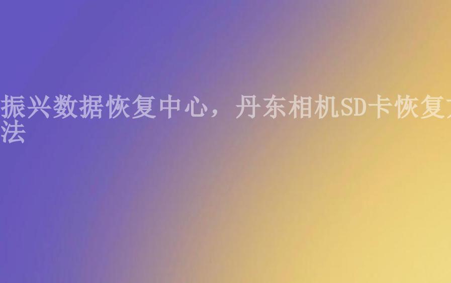 振兴数据恢复中心，丹东相机SD卡恢复方法1